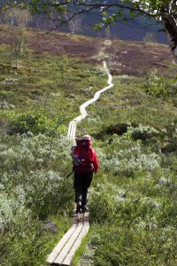 fjällvandring 4 (1 av 1)