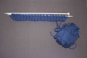 tröja blå (1 av 1)