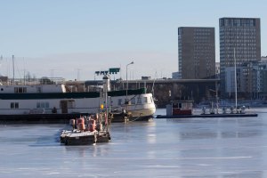 pampas marina is (1 av 1)