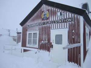 blåhammaren (1 av 1)-2