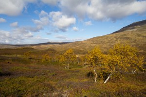 höstfjäll-1-2