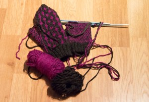 vantar Åsa (1 av 1)