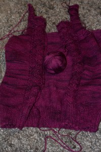 kofta lila (1 av 1)-2