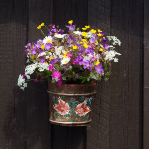 midsommar blommor (1 av 1)