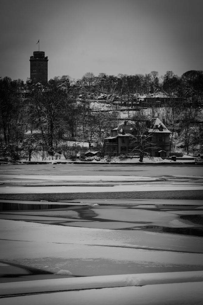 djurgården (1 av 1)