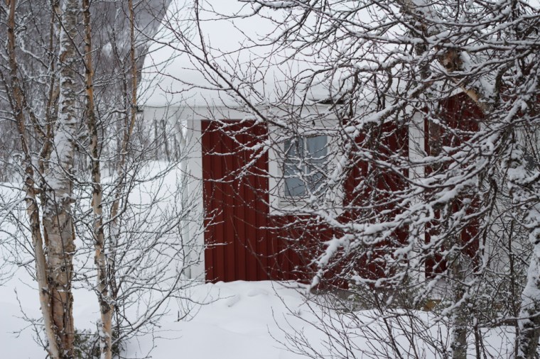 tänndalen (1 av 1)-2