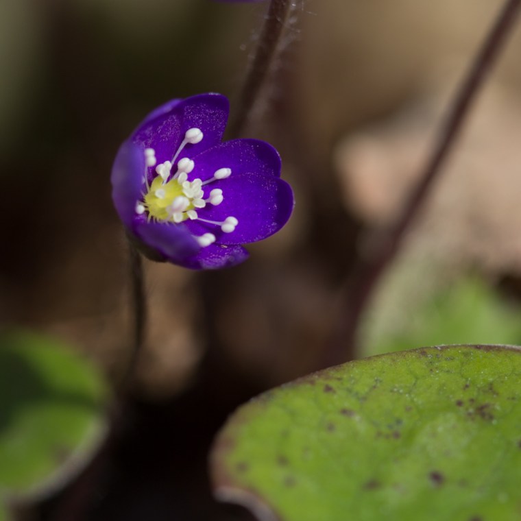 järvafältet (1 av 1)-4