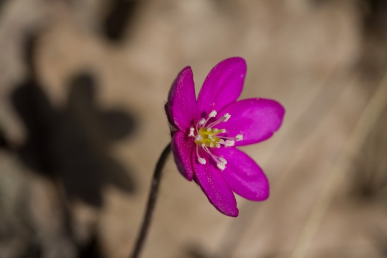 påsk landet (1 av 1)-3