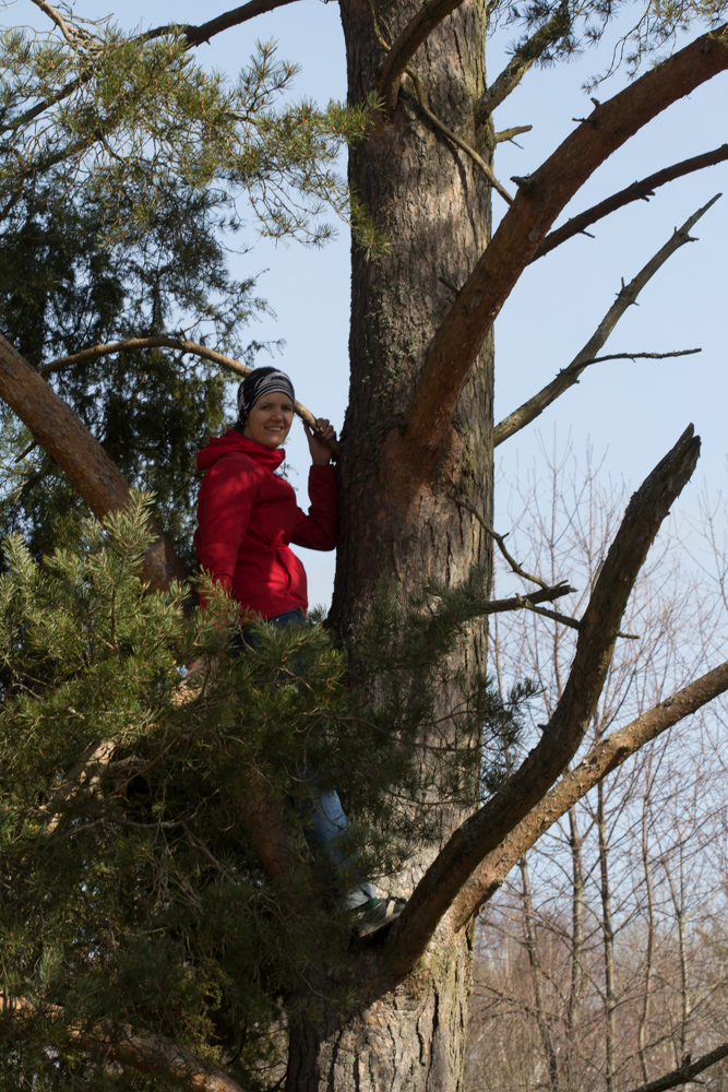 påsk landet (1 av 1)